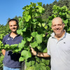 Vigneti delle Dolomiti IGT Solaris Liseo 2018