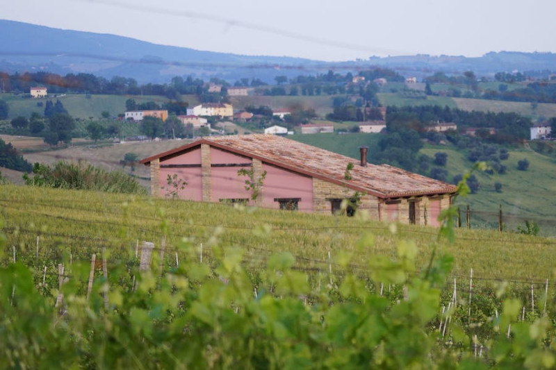 Verdicchio dei Castelli di Jesi Classico Superiore Arsicci 2023