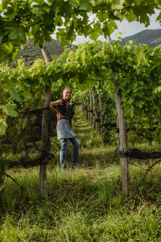 Befehlhof Alto Adige Pinot Nero 2021